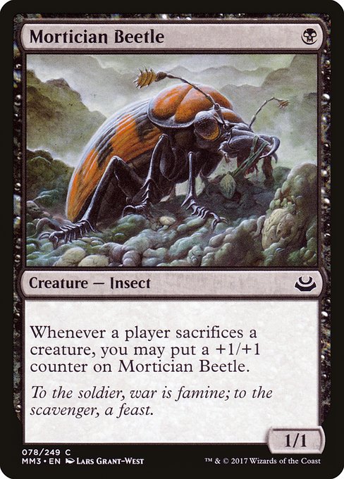 Liliana of the Veil